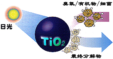 &#31859;&#20848;&#32593;&#39029;&#29256;&#45;&#31859;&#20848;&#40;&#20013;&#22269;&#41;