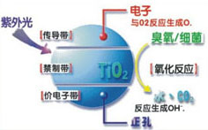 &#31859;&#20848;&#32593;&#39029;&#29256;&#45;&#31859;&#20848;&#40;&#20013;&#22269;&#41;